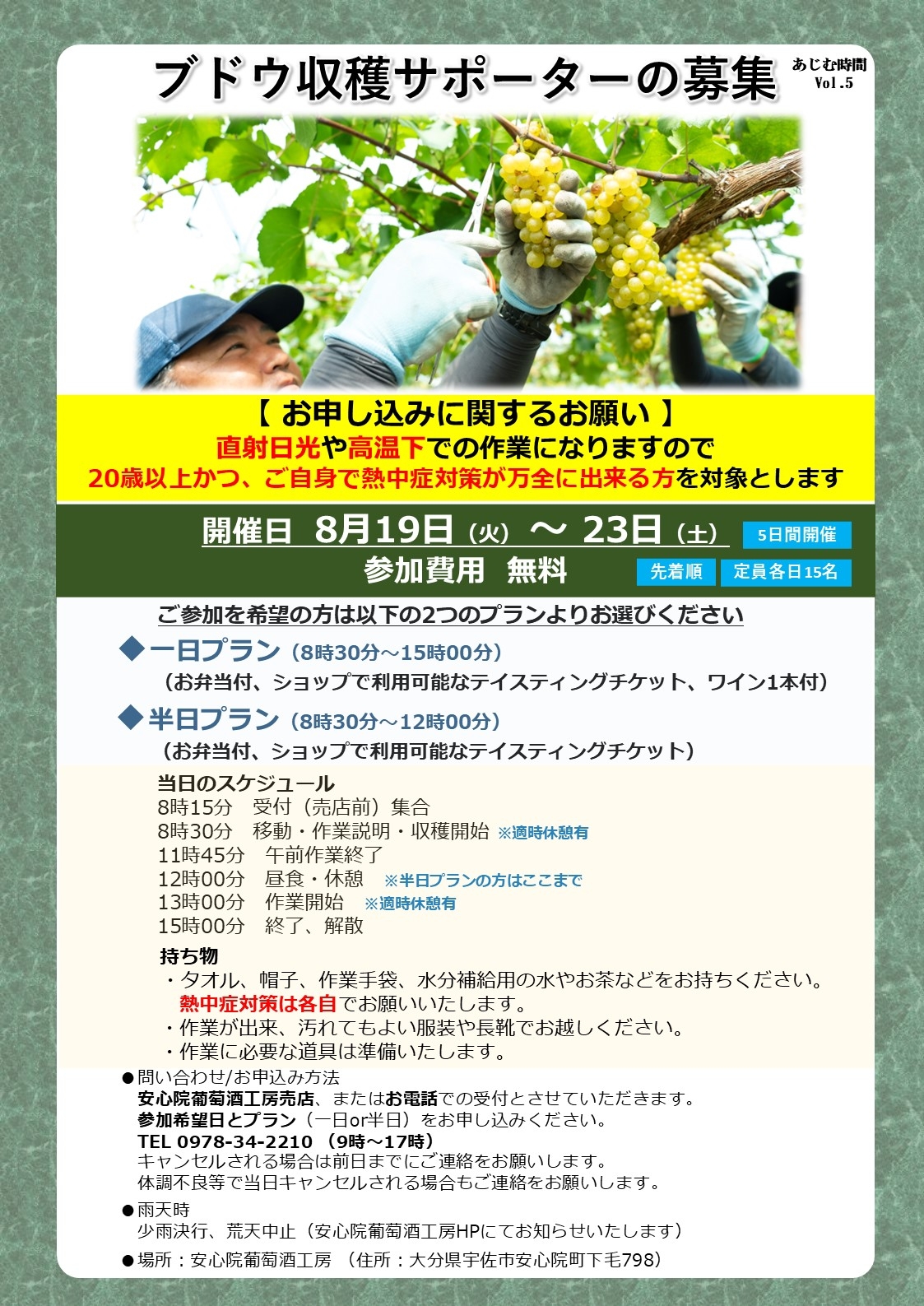 ブドウ収穫サポーターの募集をします!!