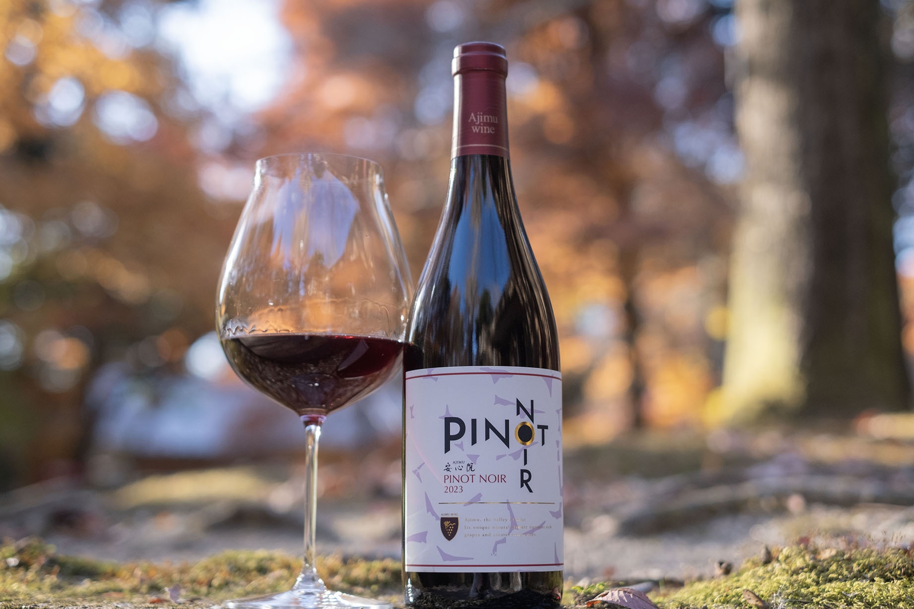 ◆「安心院ワイン ピノ・ノワール」2023